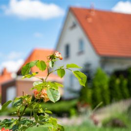 LGE Flächenentwicklung