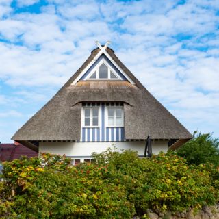 Reetgedecktes Haus im Ferienhausgebiet Groß Schwansee