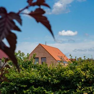 LGE Wohngebiet Am Mühlenscharrn