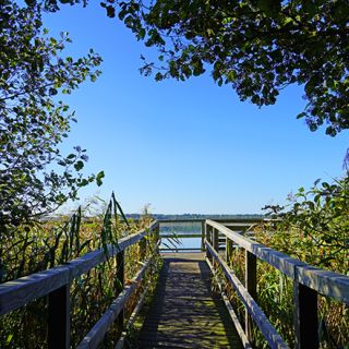 Priesterbäker See im Müritz Nationalpark